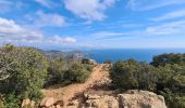 Excursión Senderismo Saint-Raphaël -  Plateau d’Anthéor & le Pic du Cap Roux - Photo 3