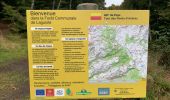 Trail  Laguiole - Labyouradous 13 kms - Photo 1