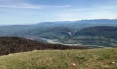 Trail Walking Arvière-en-Valromey - LE GRAND COLOMBIER - Photo 6