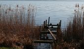 Percorso A piedi Neustadt am Rübenberge - Mardorf Rundwanderweg M2 (Promenadenpfad) - Photo 8