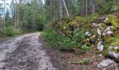 Trail Walking Les Rousses - lac des rousses . roche blanche . fort du risoux - Photo 12