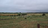 Tour Wandern Wissant - PAS DE CALAIS: WISSANT - CAP GRIS NEZ - Photo 2