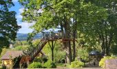 Tocht Stappen Molsheim - Molsheim - Fort de Mutzig - Balade dans les vignes - Photo 10