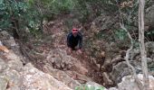 Trail Walking Toulon - Faron versant Nord  - Photo 3
