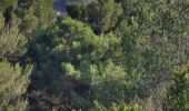 Trail Walking Les Baux-de-Provence - 2021-11-13 - Photo 6