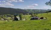 Trail Walking Vielsalm - Ennal 110522 - Photo 14