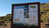 Trail Walking Ilha - Madère : vers le Pico Ruevo sommet de l'île - Photo 14
