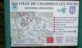 Percorso Marcia Chambray-lès-Tours - Chambray-lès-Tours - Sentier au travers des landes avec variantes - GR46 - 26.2km 170m 5h35 (1h) - 2024 10 16 - Photo 1