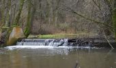 Trail Walking Limbourg - 20230109 - La Louveterie 7,7 Km - Photo 3