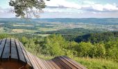 Tocht Te voet Schwäbisch Gmünd - rotes Kreuz Wäschenbeuren-Rechberg-Kaltes Feld SAV - Photo 6