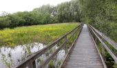 Trail Walking Guînes - Marais de Guines - Photo 12