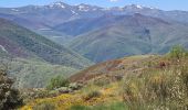Trail Walking Santa Colomba de Somoza - vers El Acebo - Photo 4