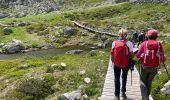 Trail Walking Chamonix-Mont-Blanc - Chamonix Lac Blanc  - Photo 1