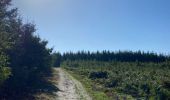 Tocht Stappen Villers-la-Ville - VOV - promenade de Berines, par St Bernard et 4 chênes  - Photo 12