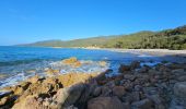 Excursión Senderismo Serra-di-Ferro - Serra di Ferro, plage de Cupabia A/R - Photo 2