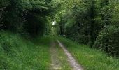 Tocht Stappen Montreuil-aux-Lions - Montreuil-aux-Lions du 20-07-2024 - Photo 14