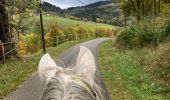 Tour Reiten Plainfaing - Bernard fred Delphine yoigo - Photo 2