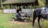 Trail Horseback riding Raon-l'Étape - Yoigo kalio la chipotte étang de saint-rémy - Photo 9