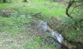 Percorso A piedi Bispingen - Wanderweg Durch das Tal der Haverbeeke - Photo 4