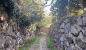 Excursión Senderismo Sobrado e Bairros - Castelo de Paiva - Douro (GR60) - Photo 5