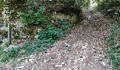 Randonnée Marche Annecy - A la découverte des Chalets de Barbenoire - Photo 15