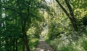 Randonnée Marche Liège - rando la plus bucolique sur les coteaux rive gauche de la meuse - Photo 11