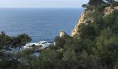 Randonnée Marche Six-Fours-les-Plages - Nôtre Dame du Mai au départ du Brusc  - Photo 6