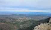 Trail Walking Mazaugues - Vallon des cerisiers Mazaugues La Roque - Photo 8