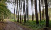 Randonnée Marche Bièvre - Balade de Gros-Fays à Cornimont - Photo 4