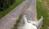 Trail Horseback riding Métairies-Saint-Quirin - bornes tribanales kubolo arcane tivio - Photo 4