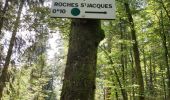 Randonnée Marche Rochesson - Les Roches Saint-Jacques et la Cascade du Bouchot - Photo 13