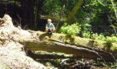 Tour Wandern Daverdisse - Porcheresse - Photo 7