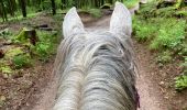 Trail Horseback riding Belmont - Acpl champ du feu yoigo Tivio  - Photo 1