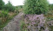 Tour Wandern Weismes - peak triple et cascade bayehon - Photo 1