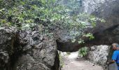 Excursión Senderismo Cheval-Blanc - les gorges du regalon - Photo 10