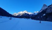 Randonnée Raquettes à neige Pralognan-la-Vanoise - Pont de Gerlon - Photo 6