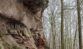 Randonnée Marche Sturzelbronn - Neunhoffen - Le petit Hundskopf - Photo 8