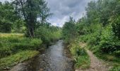 Tocht Stappen Houffalize - rando wibrin 29/07/2021 - Photo 1