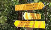 Tour Wandern Quinson - les Basses Gorges - Photo 2