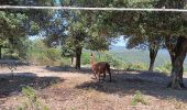 Percorso Marcia Taillet - notre dame del roure .  taillet . Notre dame del roure  - Photo 14