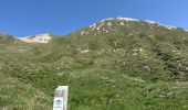 Trail Walking Pralognan-la-Vanoise - Pralognan - le petit Mont Blanc - Photo 12