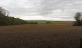 Tour Wandern Saint-Aubin-Celloville - 20211106-St Aubin Celloville - Photo 9