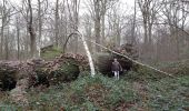 Tour Wandern L'Isle-Adam - Oise port clinique Forget - Photo 4