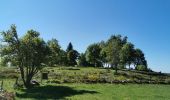 Trail Walking Le Tholy - sentier du blaireau jusqu'en Ecosse - Photo 9