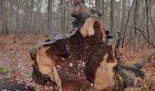 Randonnée Marche Verrières-le-Buisson - La foret de Verrieres par Chatenay Malabry - Photo 3