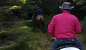 Trail Horseback riding Moussey - fady col de praye  - Photo 4