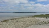 Excursión Senderismo Huisnes-sur-Mer - Mont-St-Michel - 14km 64m 4h30 - 2017 06 26 - Photo 15