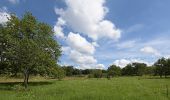 Tocht Te voet Onbekend - Naturpfad Eberstadt - Photo 5