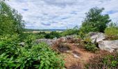 Tour Wandern Champcueil - boucle champcueil - Photo 8