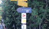 Trail Walking Villard-sur-Doron - 20220828 Tour des Saisies depuis Hameau de Beaufortain - Photo 3